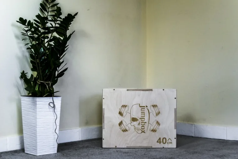 skrzynia plyometryczna box jump