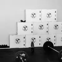 skrzynia plyometryczna box jump