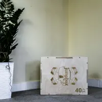 skrzynia plyometryczna box jump