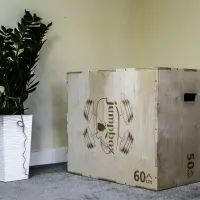 box jump