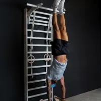 parallettes handstand