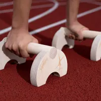 parallettes