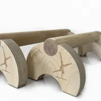 parallettes