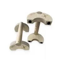 parallettes