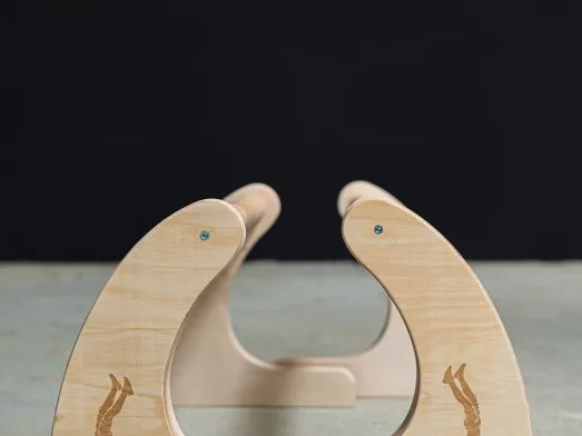 parallettes